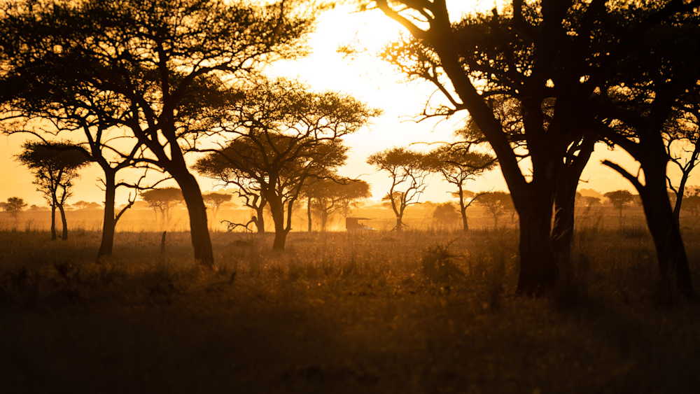 In 2023 Singita marks 30 years of pioneering eco-tourism, an apt moment to reflect on how far we've come and step into the next decade with determination