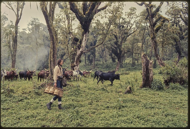 Honouring the past: A hike to Dian Fossey's gravesite