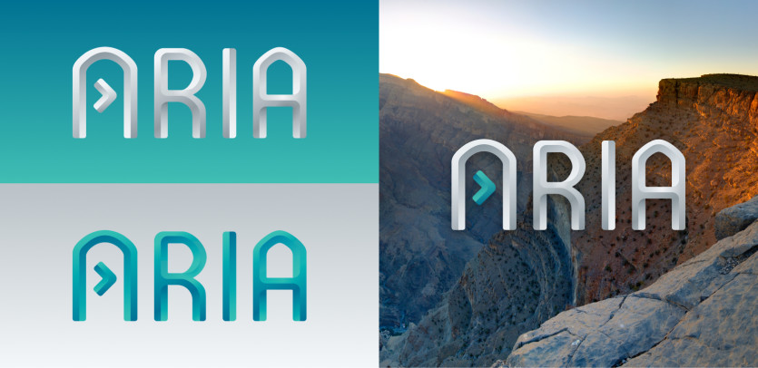 Meet ARIA: Logo Variations