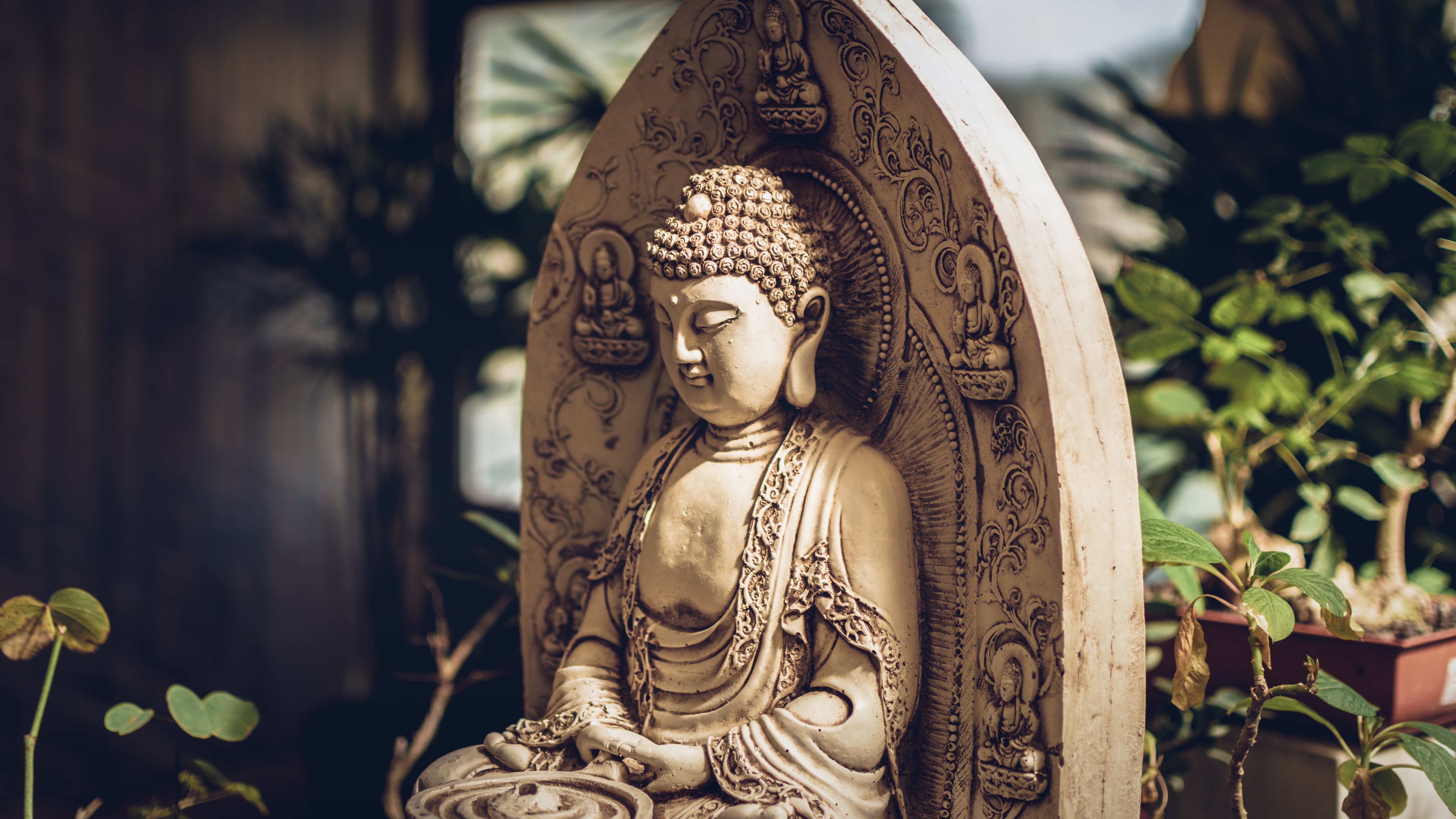 Buddha Photo 1