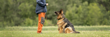 Hverdagsøvelser2 kort