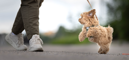 hero kort självförtroende