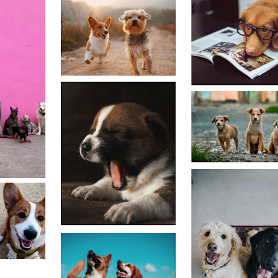 ImageSearch