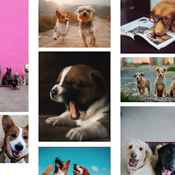 ImageSearch
