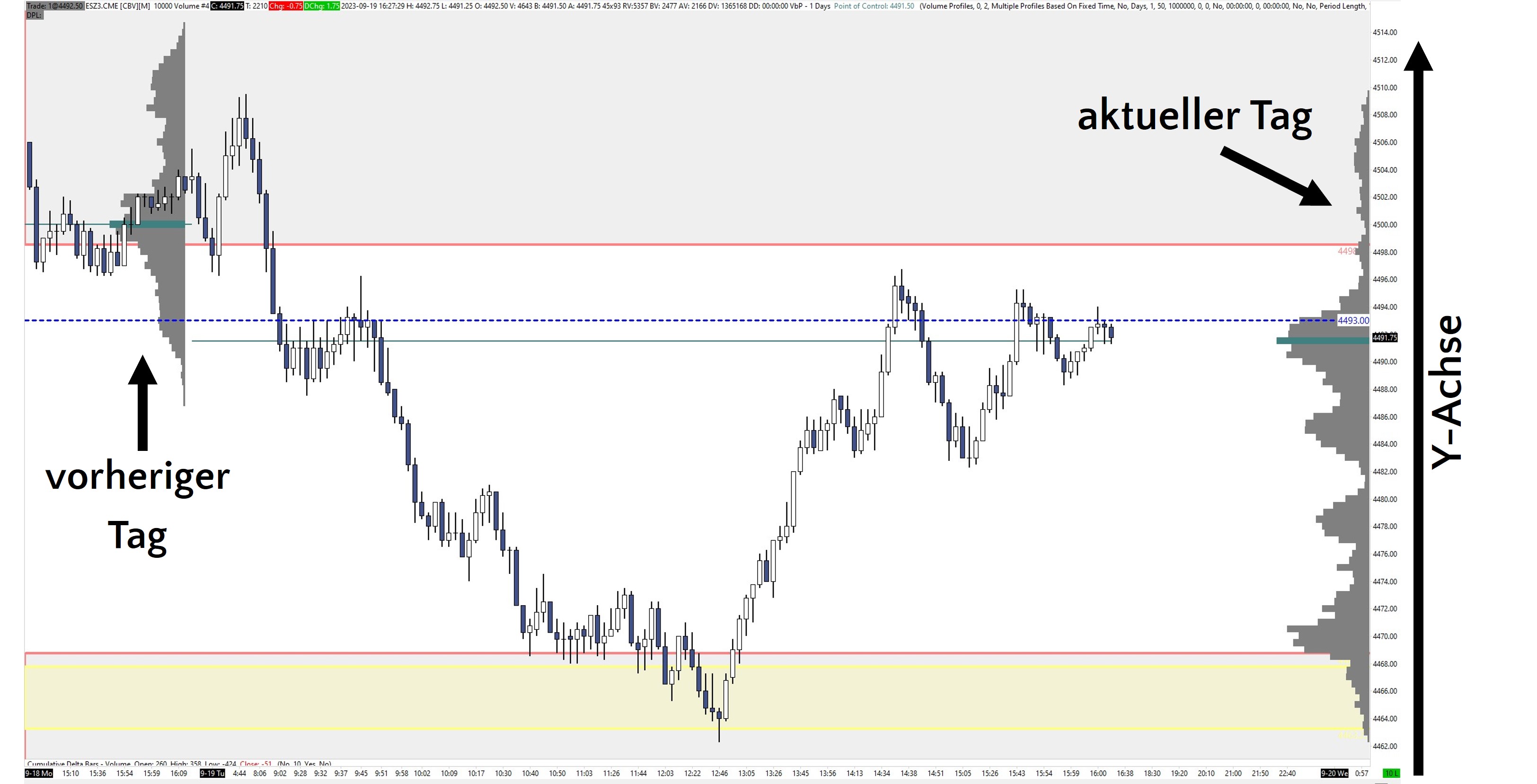 Volume Profile auf der Y-Achse