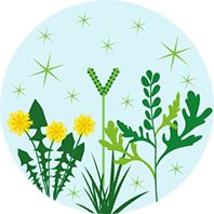 Outdoor plants that produce pollens