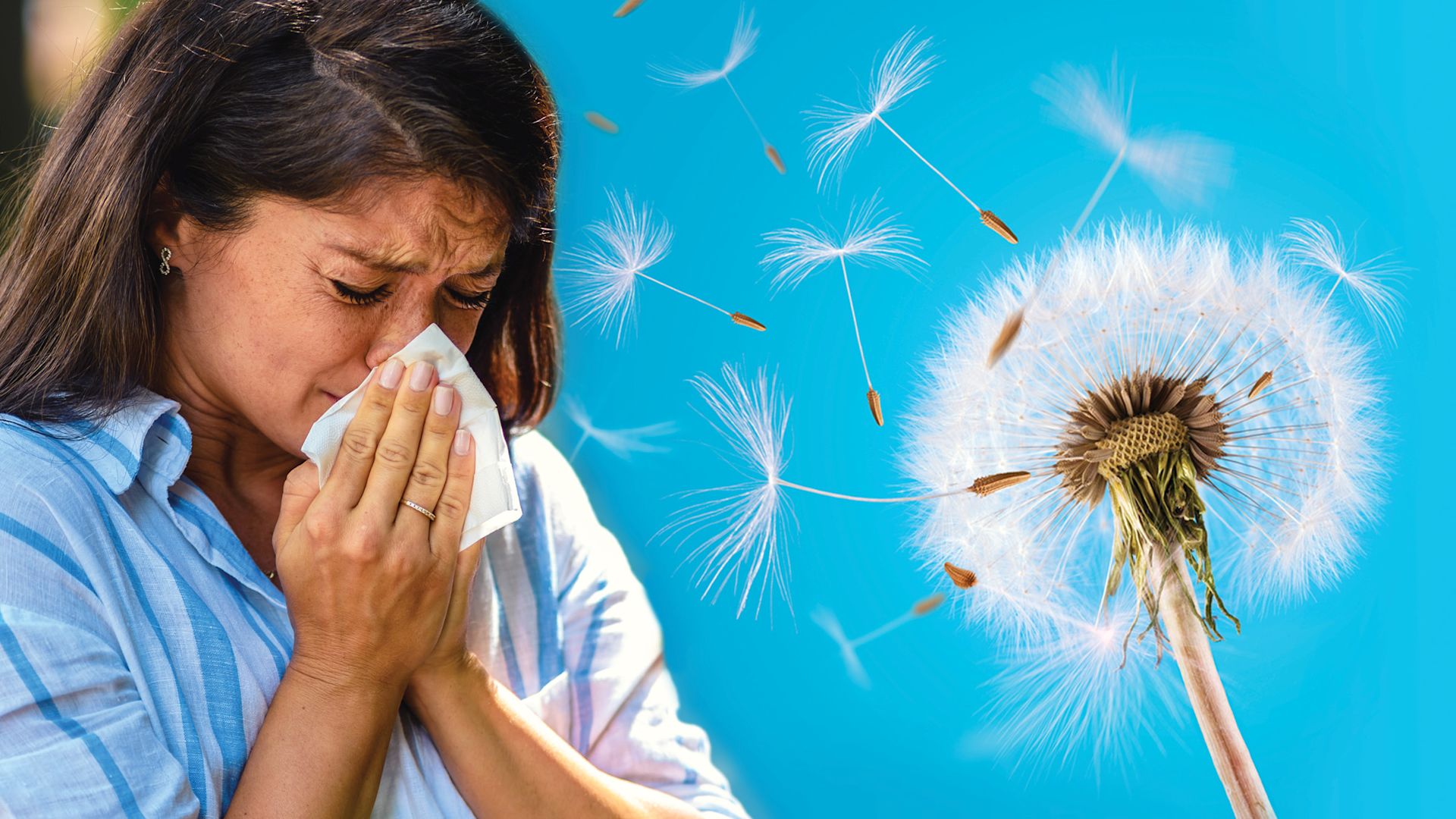 Une femme souffrant d’allergies éternue dans un mouchoir, alors que des graines de pissenlit flottent dans l’air.