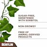 Ivy leaves next to the product claim stating ‘free of sugar, free of animal-derived products, sweetened with sorbitol and non-drowsy.