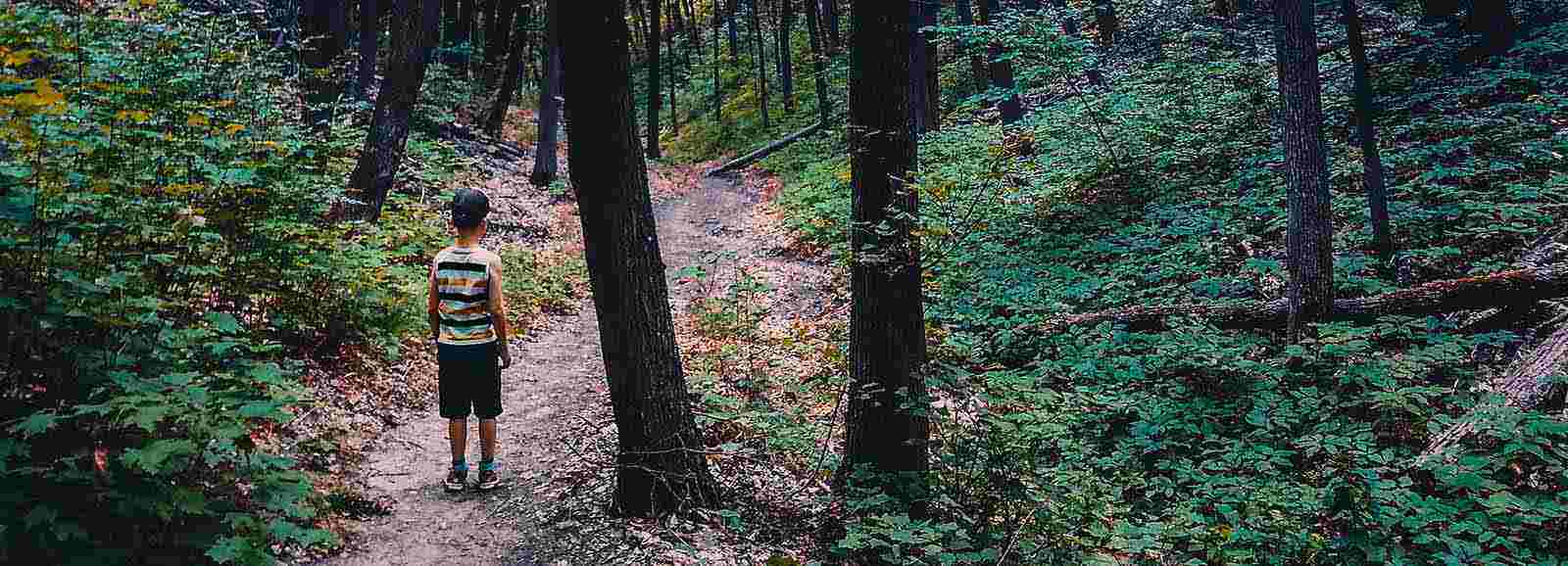 young boy standing on a dirt path in a forest