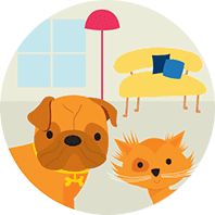 A dog and a cat living indoors