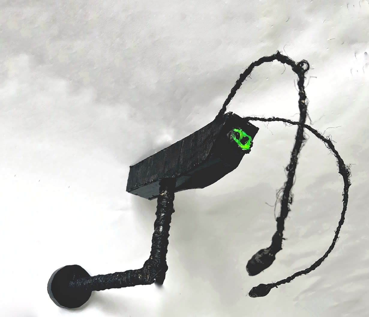 Cover Image for Bug Camera, 40x70