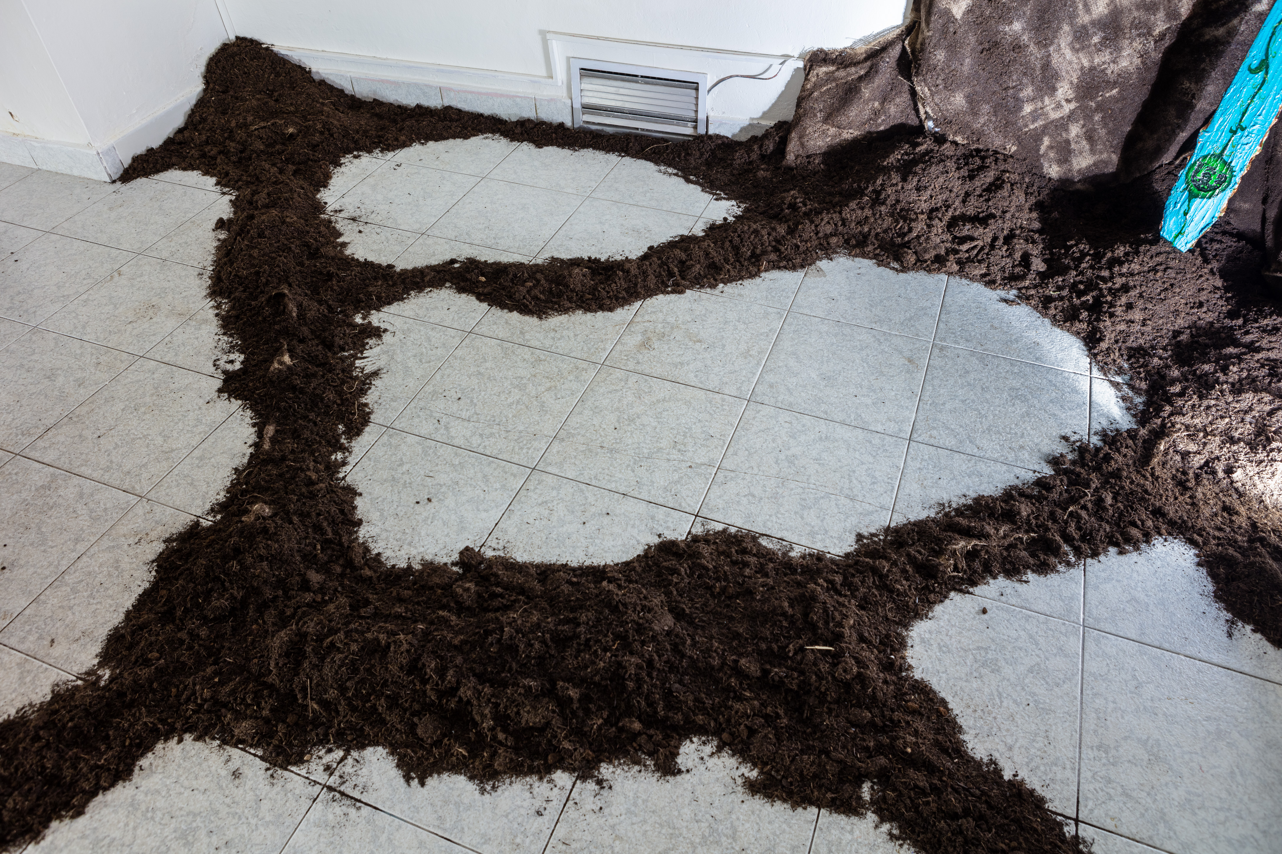 PAF - 23 - Canon 2023-01-25 18.27.58