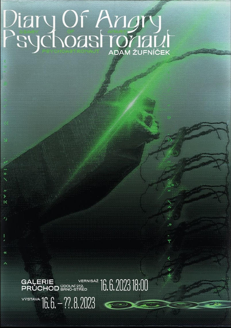 Cover Image for Diary of an Angry Psychonaut