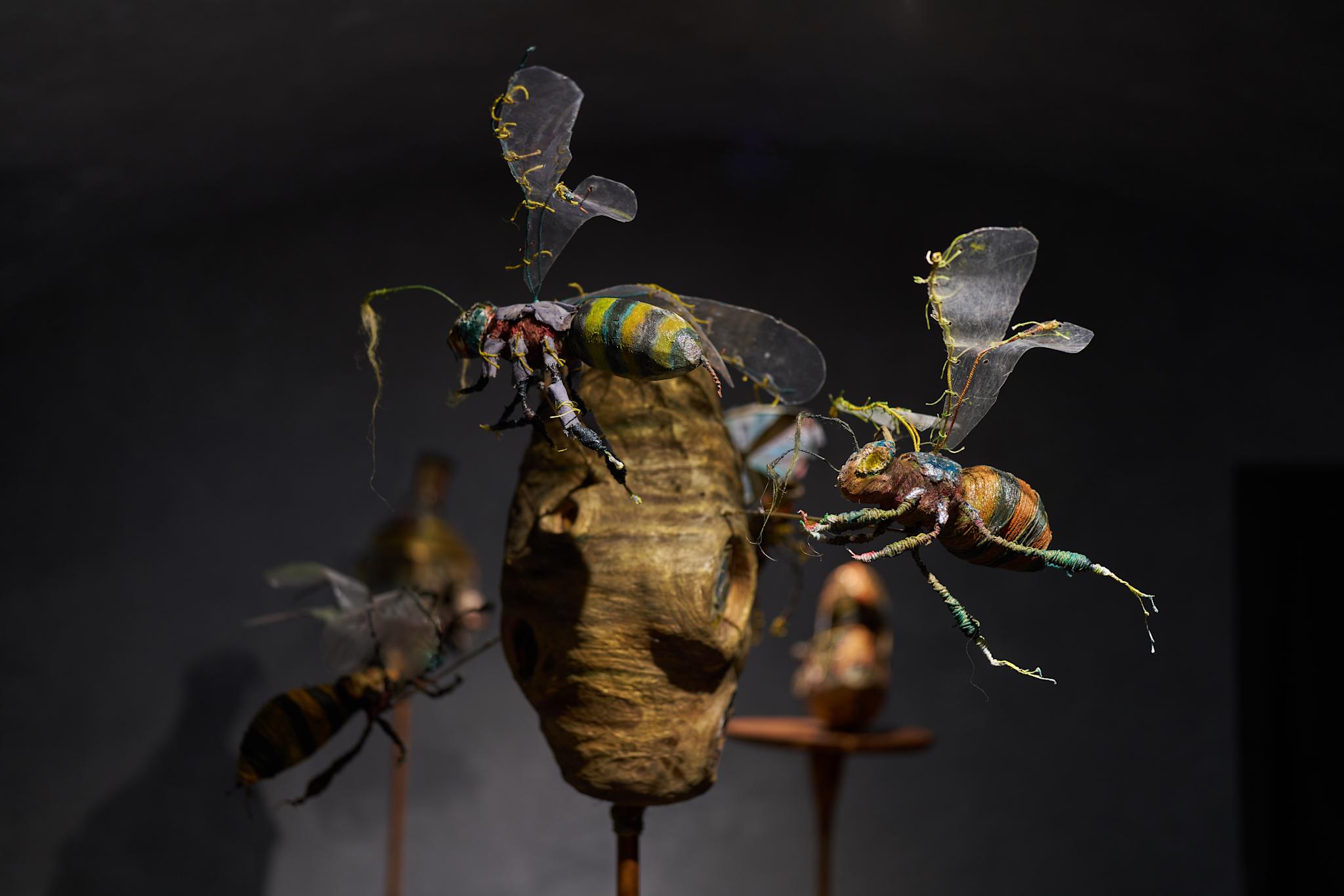 Cover Image for Household Items