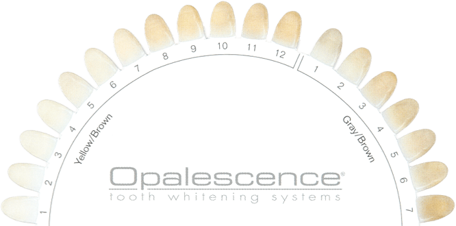 Opalescence Shade Guide