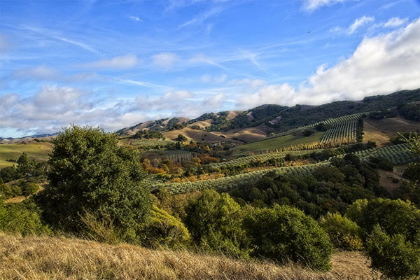 Santa Rosa