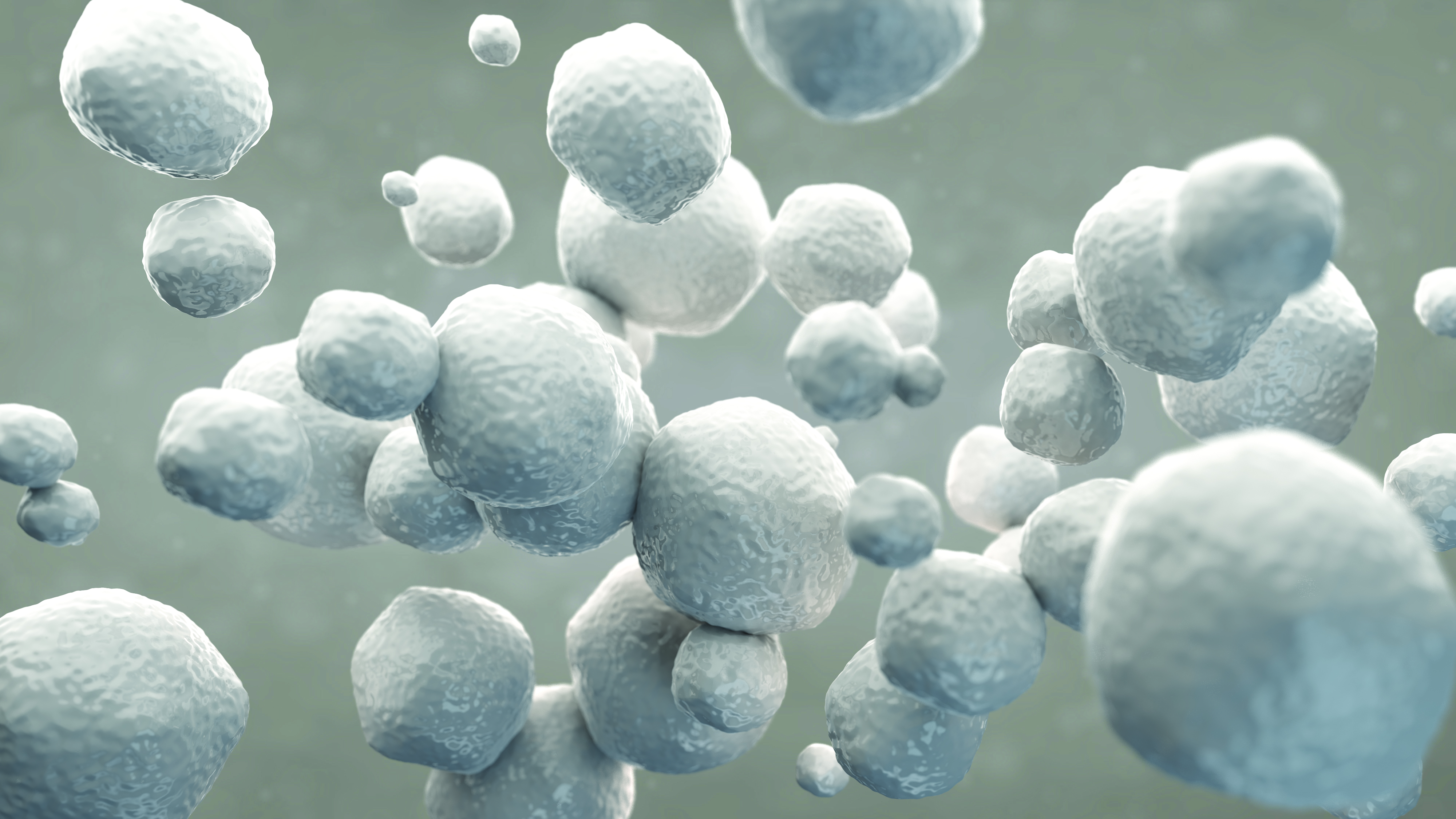 FORMA Zirconia Particles