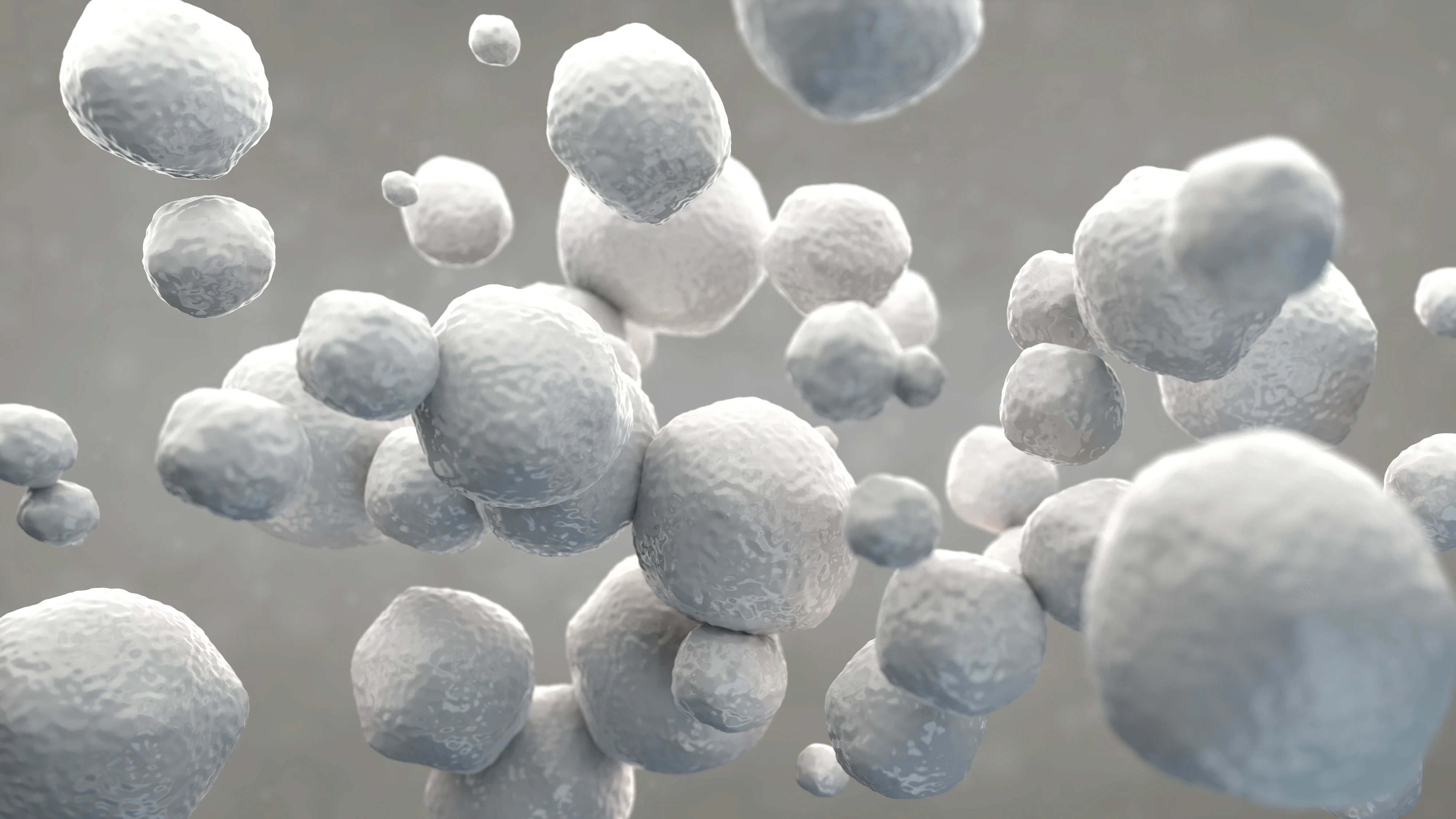 FORMA zirconia particle microscopy image