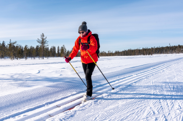 Cross Country Skiing