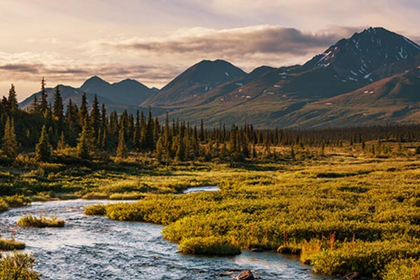 Anchorage