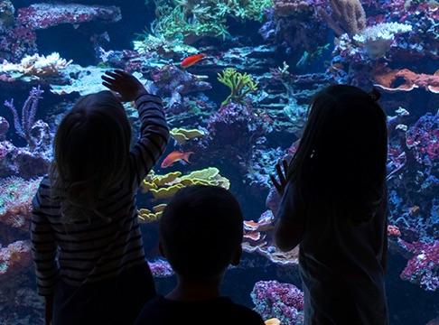 Loveland Aquarium