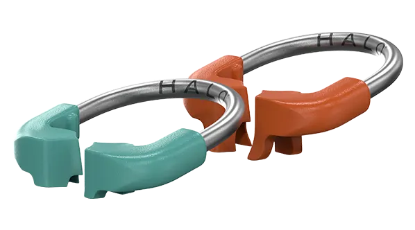 Halo™ Sectional Matrix Rings