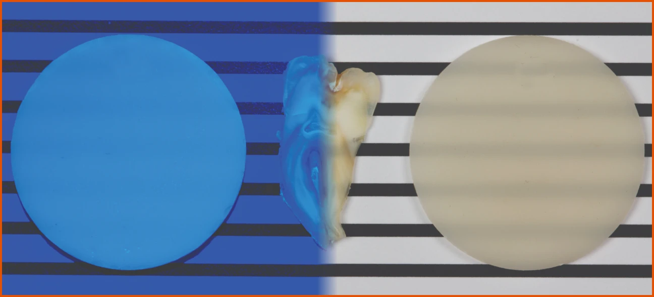 FORMA fluorescence comparison