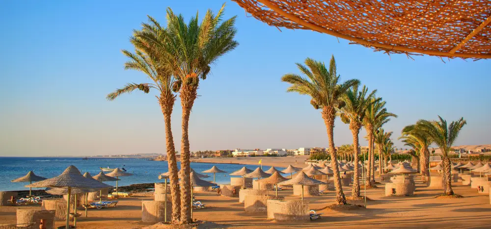 hurghada strand palmen