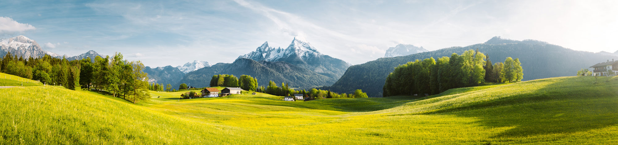 Blick auf die Alpen und grüne Wiesen