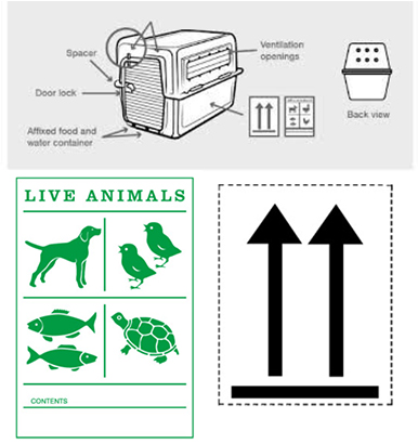 Fliegen mit Tieren bei TUI fly - Hinweise Transportbox
