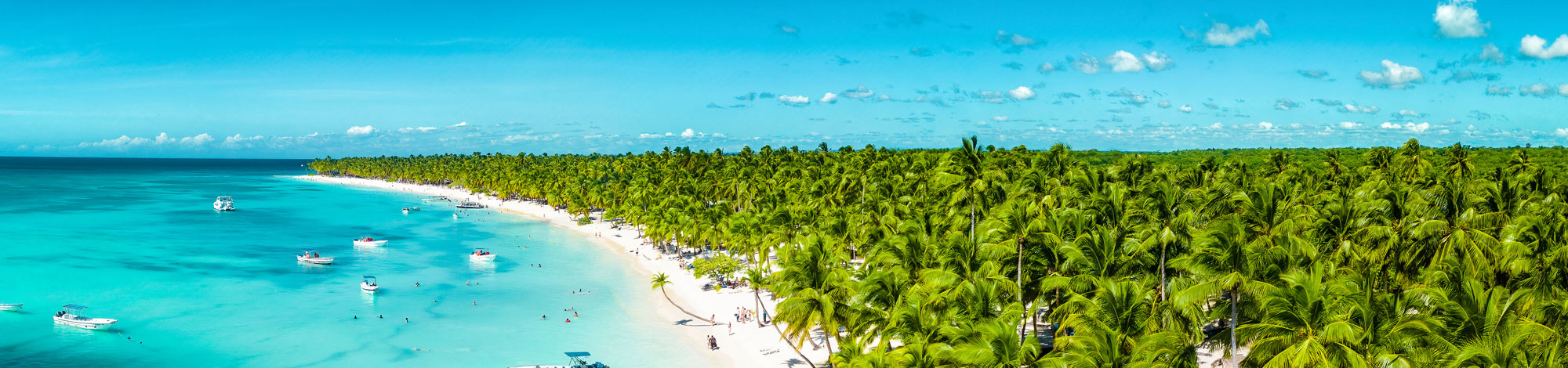 Blick auf Meer mit Booten und großem Palmenwald