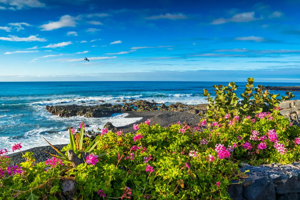 teneriffa strand meer