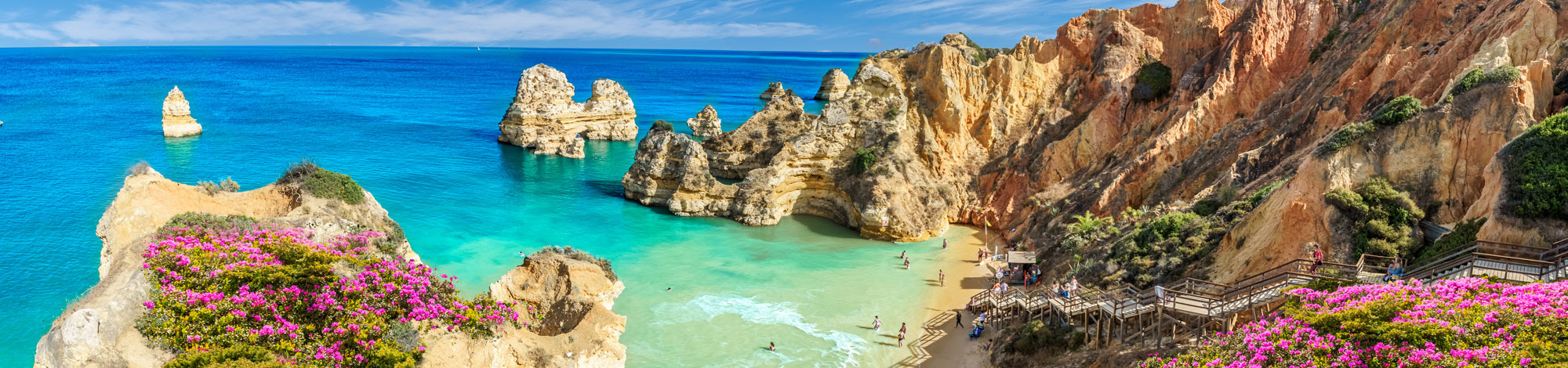 Steinfelsen im Meer und lila Blüten