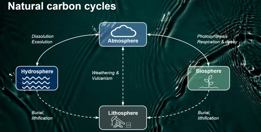 Natural carbon cycles graph