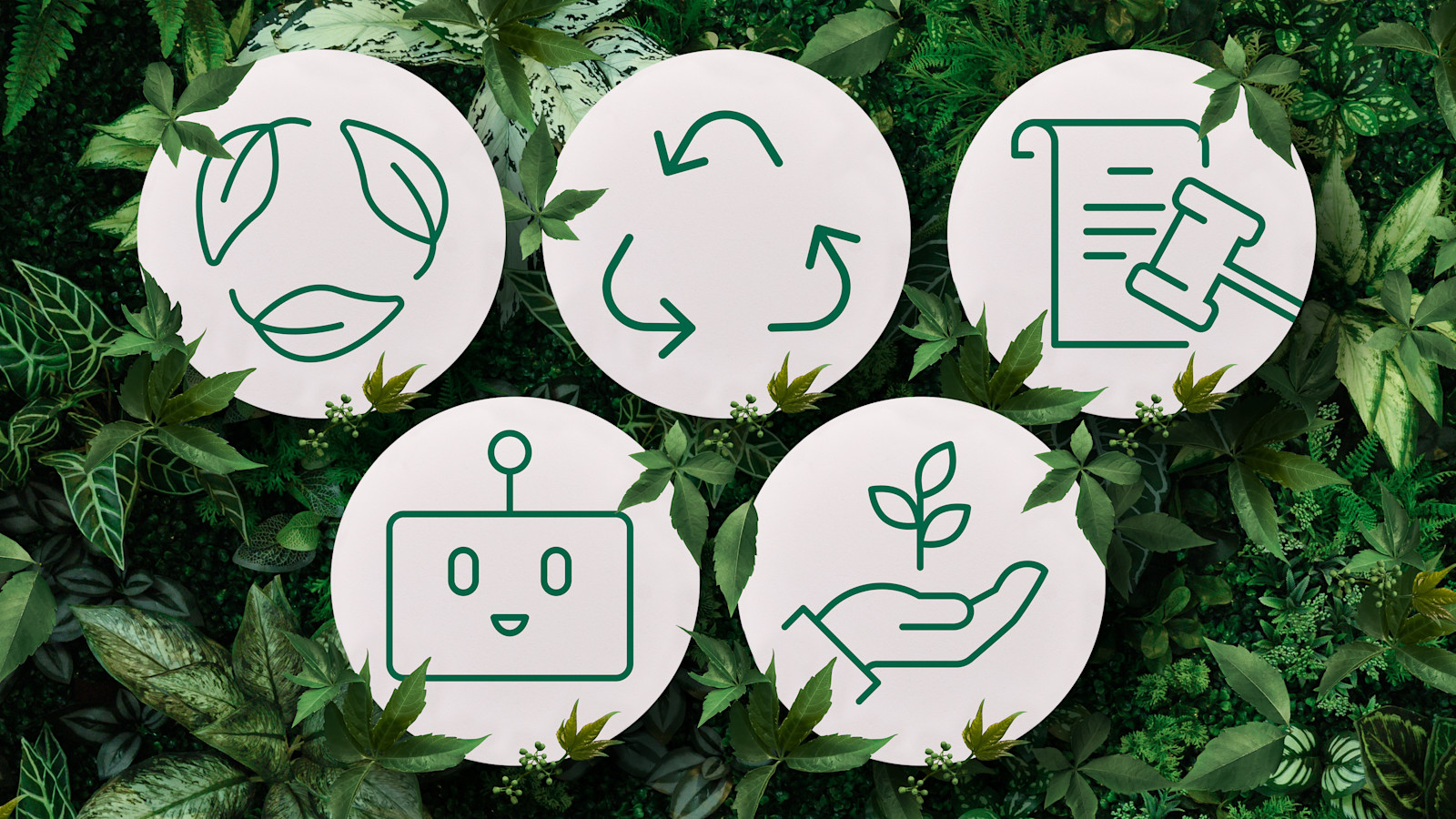 Neste: Top 5 Sustainability-Trends für 2025