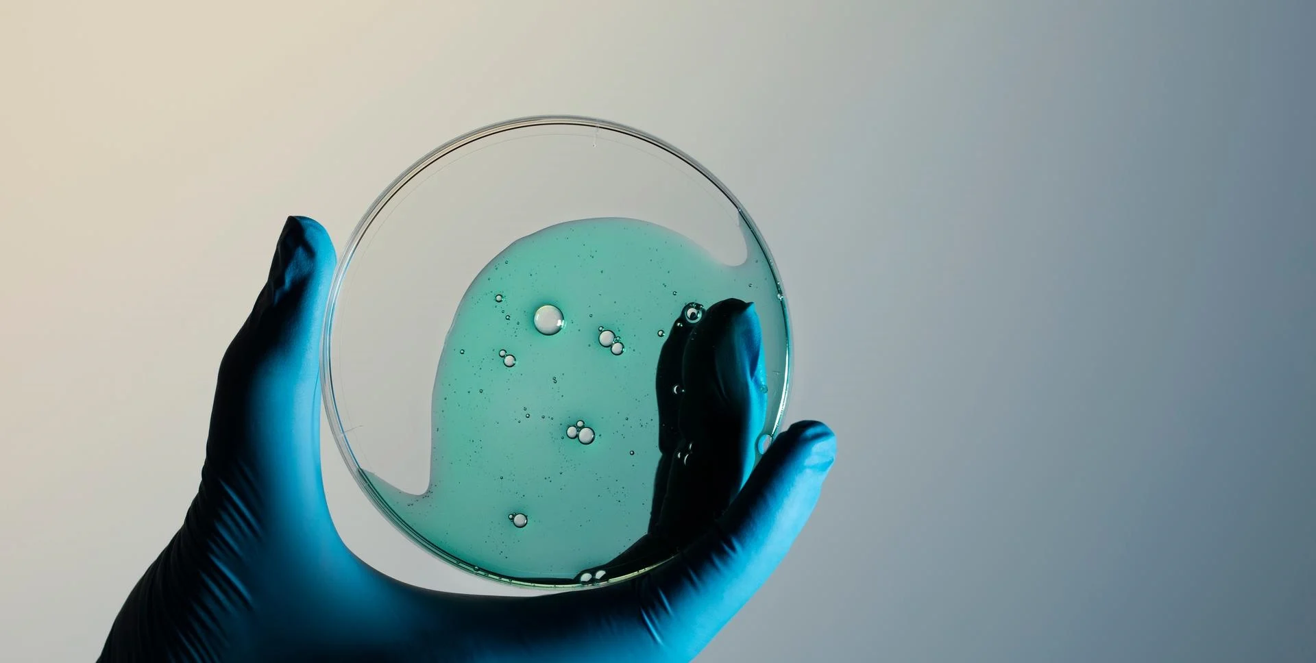 Plastic petri dish | Neste