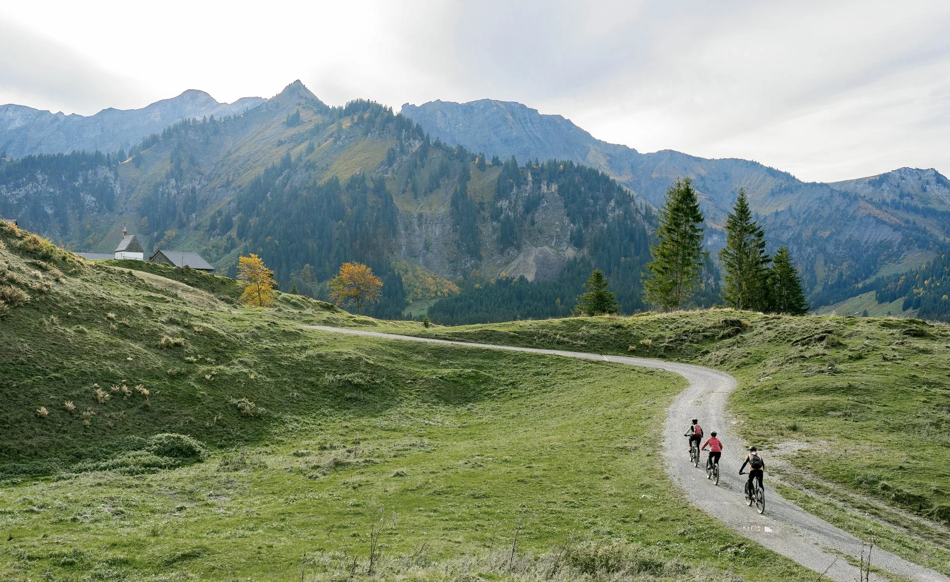 Three people riding their mountain bikes in the autumnal atmosphere.