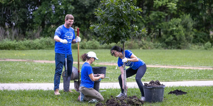 Three Neste employees planting a tree.