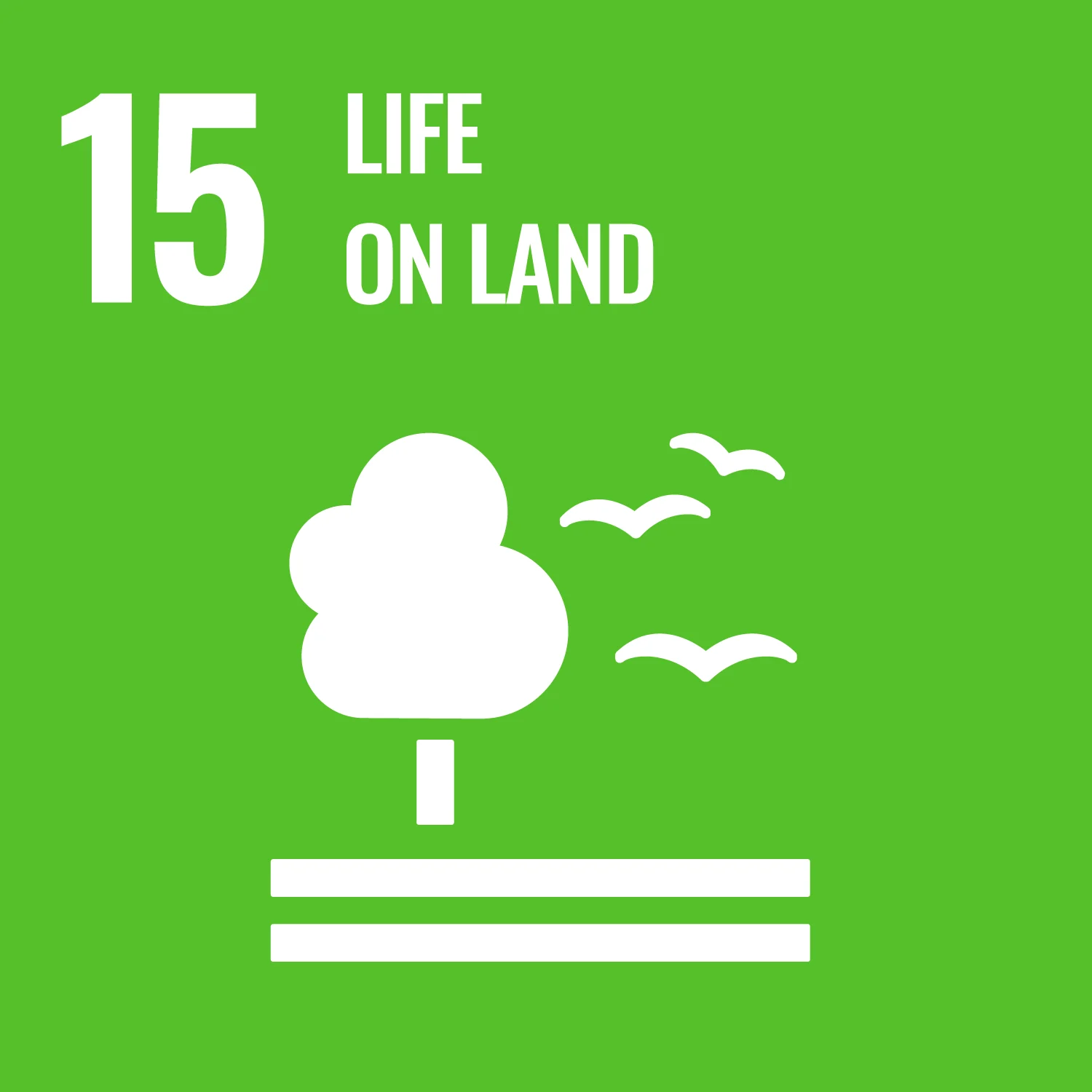 UN Sustainable Development Goal 15, Life on land 