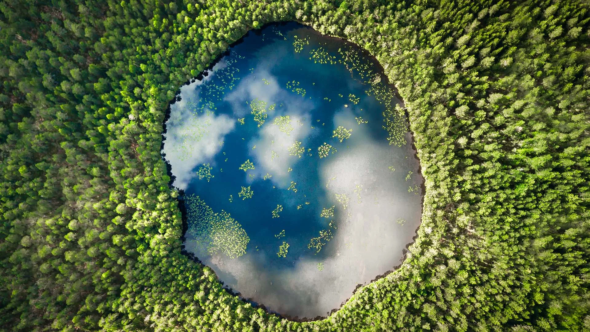 Circular lake surrounded by forest