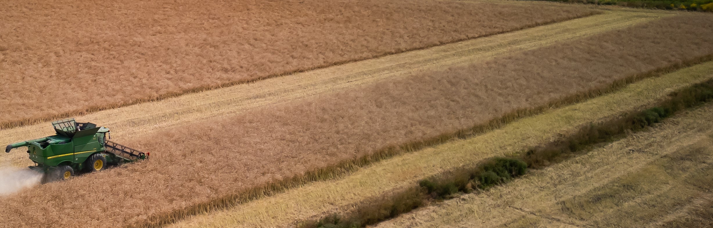 Regenerative farming practices reduce the environmental impact of rice production in Spain