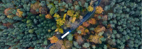 Truck driving on a road in the woods