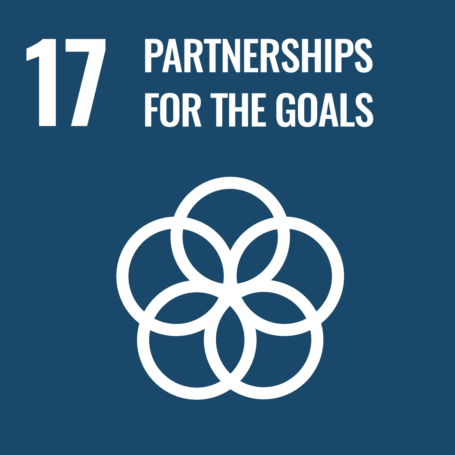 UN Sustainable Development Goal 17, Partnerships for the goals 