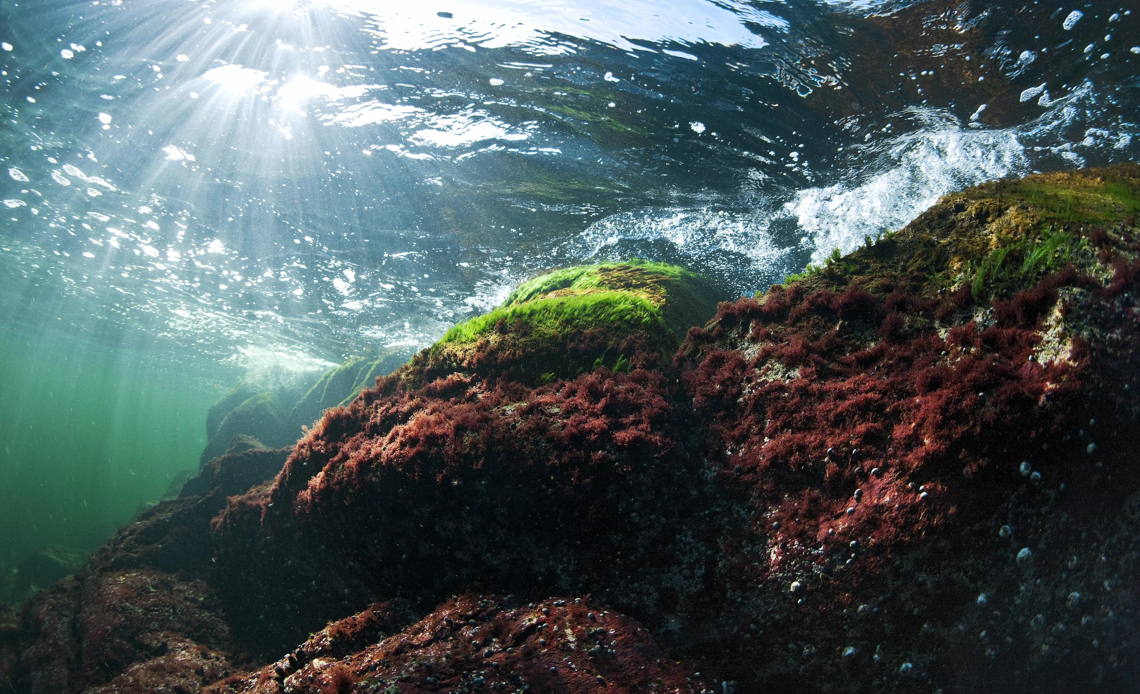 Under the surface of the Baltic Sea, by Jukka Nurminen.