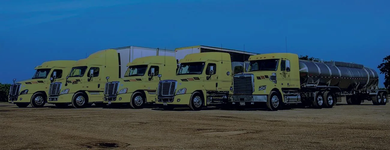 Yellow trucks in a row