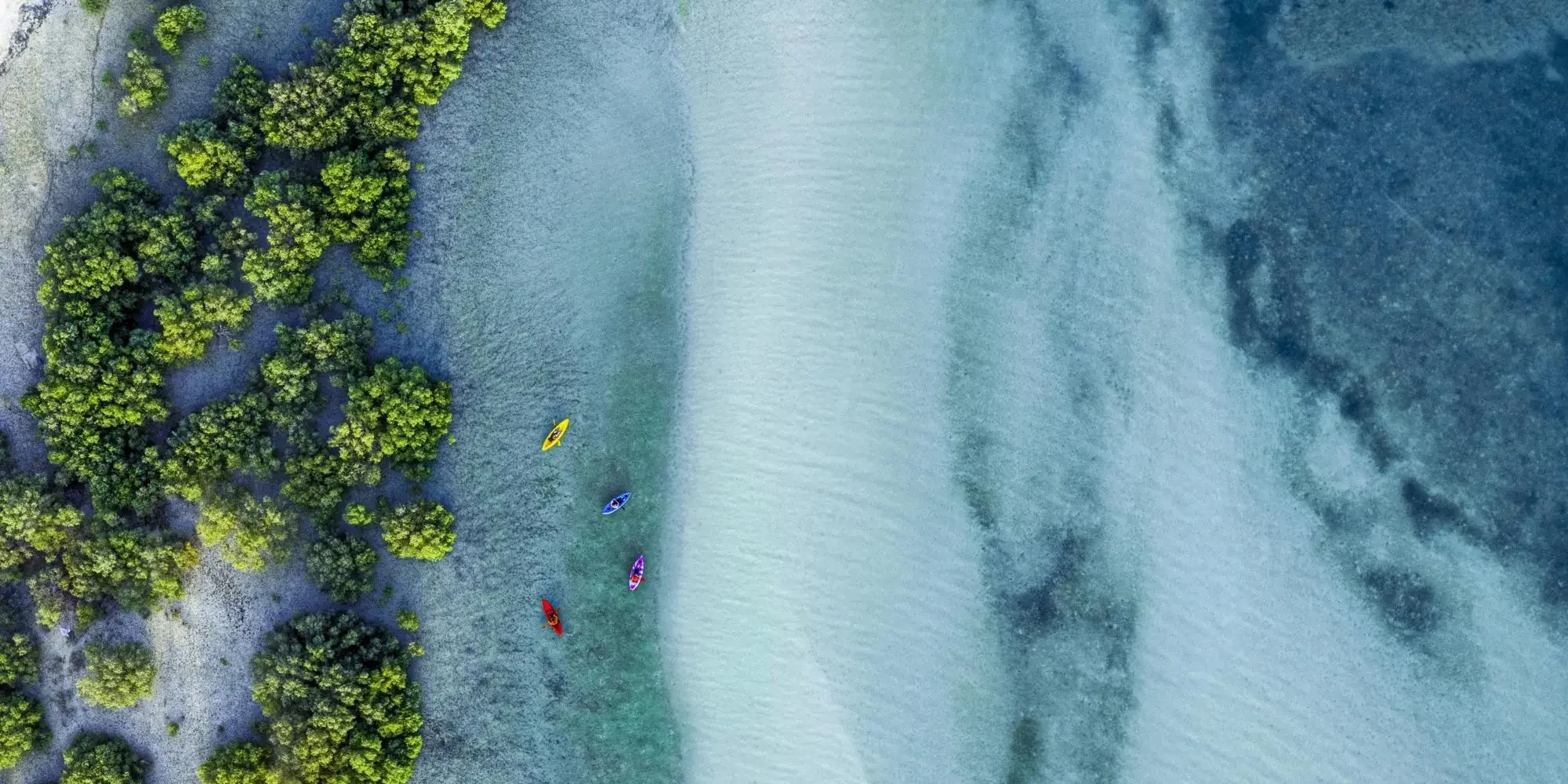 Aerial view of the sea and canoes