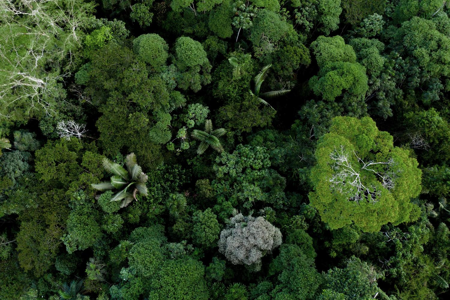 5 tips om de biodiversiteit te stimuleren in uw bedrijf