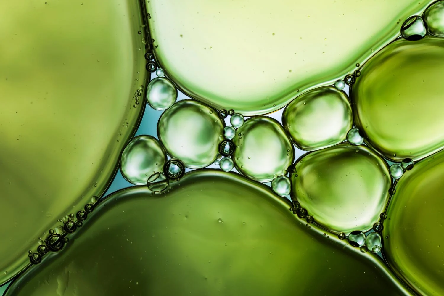 Renewable raw materials - Algae oil | Neste