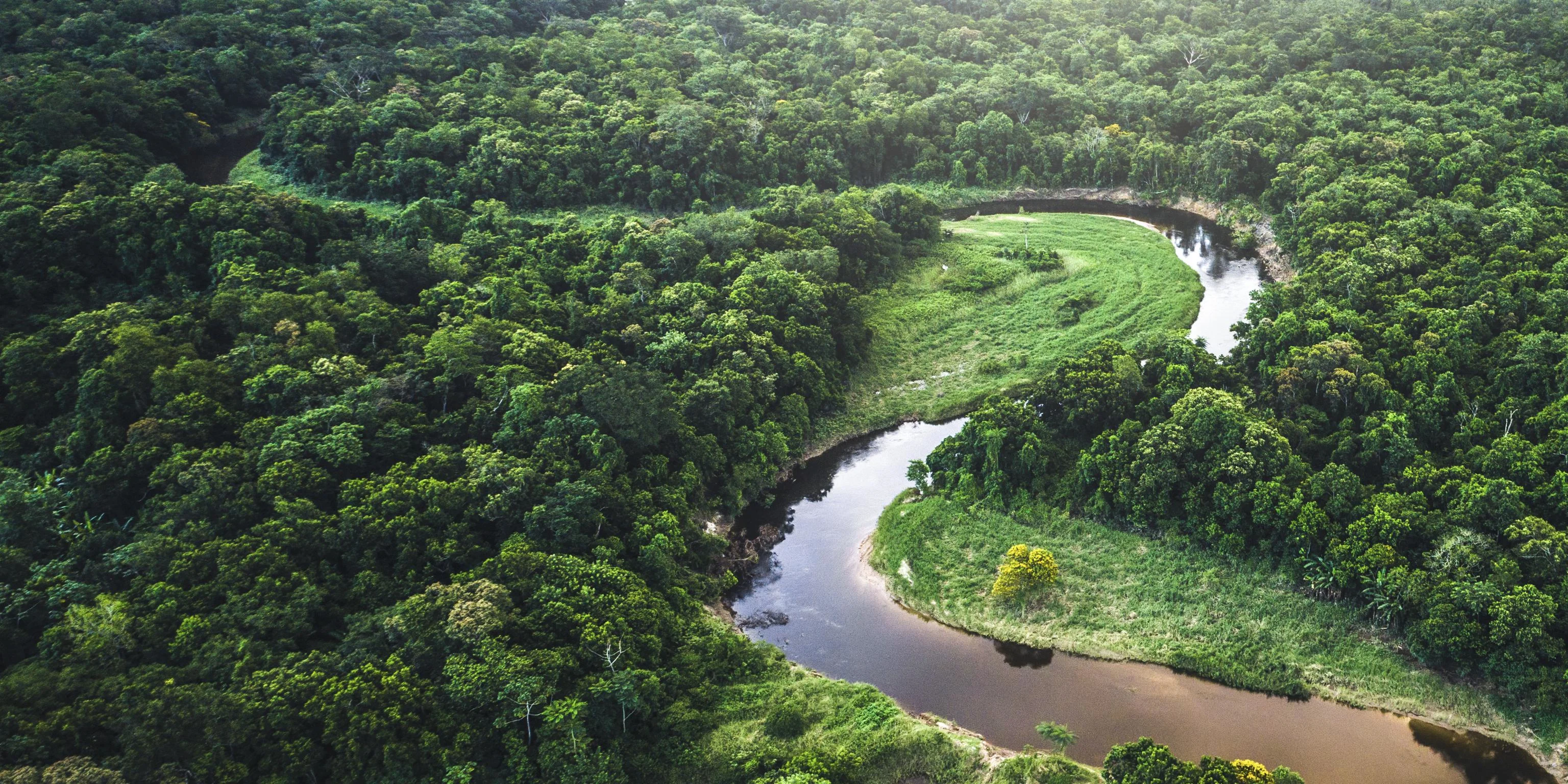 A river floating through green forest.