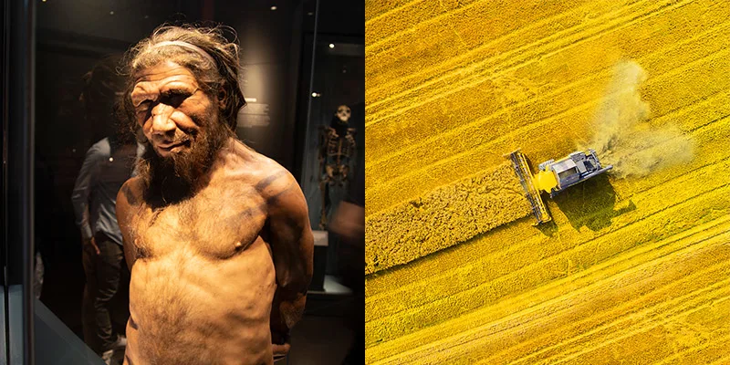 From cavemen’s campfires to transforming agricultural waste into valuable products, biomass has remained a constant throughout the history of human energy production.